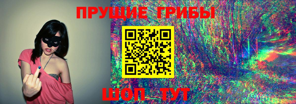 Псилоцибиновые грибы Cubensis Берёзовский