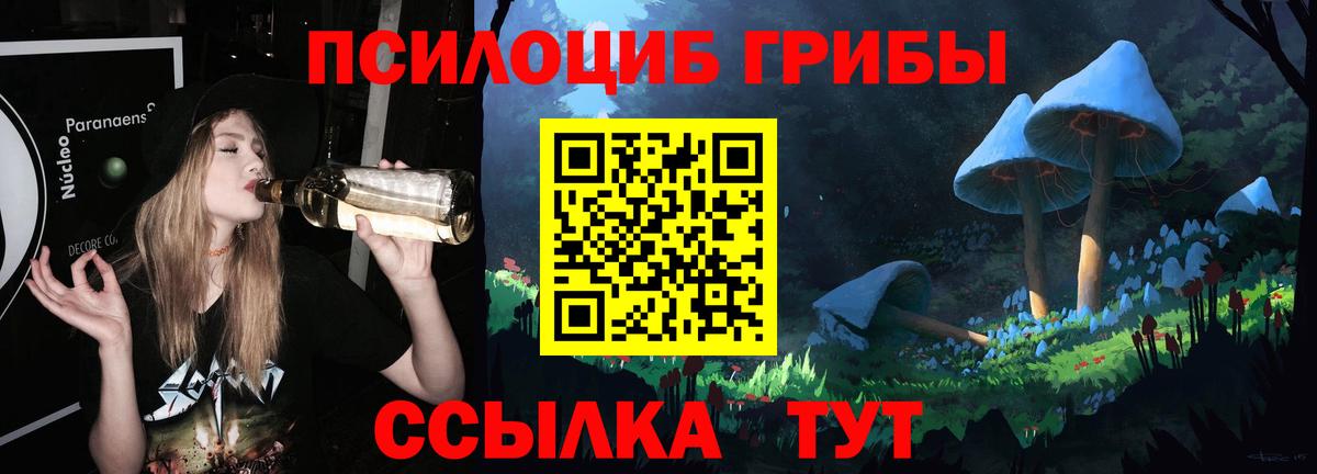 Псилоцибиновые грибы Cubensis  Псилоцибиновые грибы прущие грибы  Вход с VPN  Берёзовский 